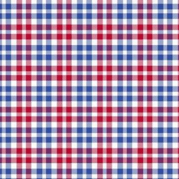 FX Fusion Long Sleeve Button Down Single Pocket 100% Wrinkle Free Cotton Poplin Tram Weave Blue/Red FW1839