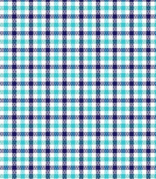 FX Fusion Long Sleeve Stretch Single Triangle Gingham Aqua(Teal/Turquoise) FW1850